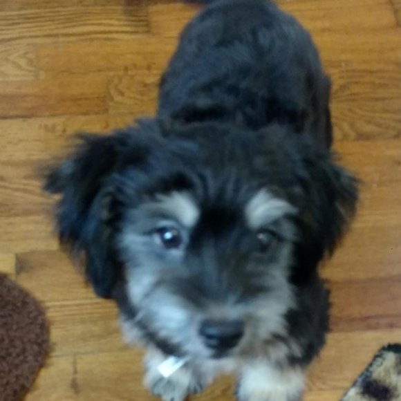 Meet Your Posher - - Picture 8 of 16